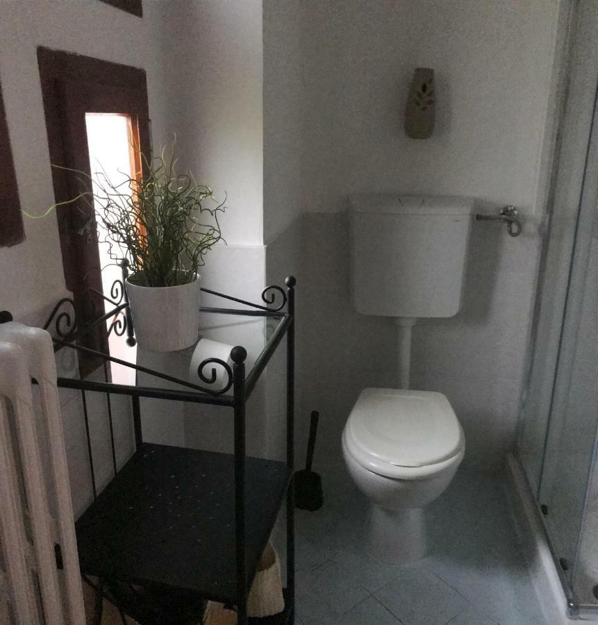 B&B Gioia Pisa Esterno foto